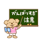 トイプーのぷう太郎 【応援と癒し】（個別スタンプ：3）