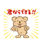 トイプーのぷう太郎 【応援と癒し】（個別スタンプ：9）