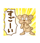 トイプーのぷう太郎 【応援と癒し】（個別スタンプ：10）