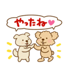 トイプーのぷう太郎 【応援と癒し】（個別スタンプ：11）