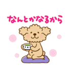 トイプーのぷう太郎 【応援と癒し】（個別スタンプ：13）