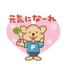 トイプーのぷう太郎 【応援と癒し】（個別スタンプ：14）