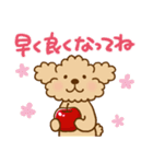 トイプーのぷう太郎 【応援と癒し】（個別スタンプ：15）