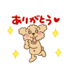 トイプーのぷう太郎 【応援と癒し】（個別スタンプ：16）