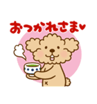 トイプーのぷう太郎 【応援と癒し】（個別スタンプ：20）