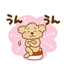トイプーのぷう太郎 【応援と癒し】（個別スタンプ：22）