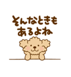 トイプーのぷう太郎 【応援と癒し】（個別スタンプ：23）