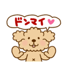 トイプーのぷう太郎 【応援と癒し】（個別スタンプ：24）