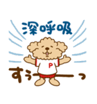 トイプーのぷう太郎 【応援と癒し】（個別スタンプ：28）