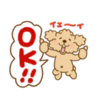 トイプーのぷう太郎 【応援と癒し】（個別スタンプ：29）