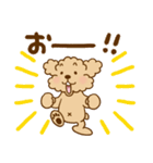 トイプーのぷう太郎 【応援と癒し】（個別スタンプ：30）
