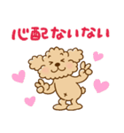 トイプーのぷう太郎 【応援と癒し】（個別スタンプ：31）