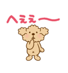 トイプーのぷう太郎 【応援と癒し】（個別スタンプ：34）
