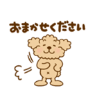トイプーのぷう太郎 【応援と癒し】（個別スタンプ：37）