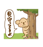 トイプーのぷう太郎 【応援と癒し】（個別スタンプ：38）