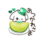 ★推し活・ご挨拶★マルチーズ【緑担当】（個別スタンプ：17）