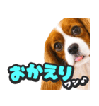 飛び出す★犬犬犬（個別スタンプ：11）