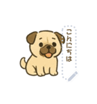 犬さんスタンプ＊（個別スタンプ：3）