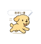 犬さんスタンプ＊（個別スタンプ：8）