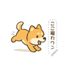 犬さんスタンプ＊（個別スタンプ：9）