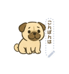 犬さんスタンプ＊（個別スタンプ：11）