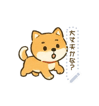犬さんスタンプ＊（個別スタンプ：14）