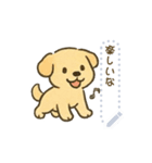 犬さんスタンプ＊（個別スタンプ：15）