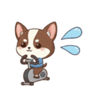 【犬の日】いぬのすたんぷ①（個別スタンプ：11）