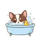 【犬の日】いぬのすたんぷ①（個別スタンプ：12）