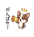 【犬の日】いぬのすたんぷ①（個別スタンプ：13）