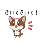 【犬の日】いぬのすたんぷ①（個別スタンプ：17）