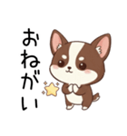 【犬の日】いぬのすたんぷ①（個別スタンプ：19）