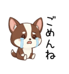 【犬の日】いぬのすたんぷ①（個別スタンプ：25）