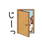 【犬の日】いぬのすたんぷ①（個別スタンプ：32）