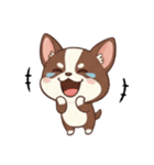 【犬の日】いぬのすたんぷ①（個別スタンプ：34）