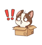 【犬の日】いぬのすたんぷ①（個別スタンプ：37）