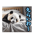 和歌山弁☆パンダ（個別スタンプ：19）