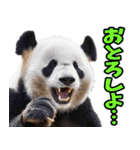 和歌山弁☆パンダ（個別スタンプ：20）