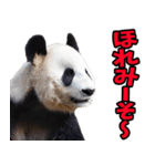 和歌山弁☆パンダ（個別スタンプ：27）