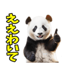和歌山弁☆パンダ（個別スタンプ：28）