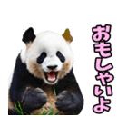和歌山弁☆パンダ（個別スタンプ：31）