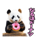 和歌山弁☆パンダ（個別スタンプ：34）