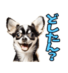 愛媛伊予弁☆わんこ（個別スタンプ：4）