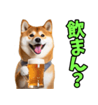 愛媛伊予弁☆わんこ（個別スタンプ：16）