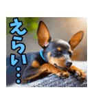 愛媛伊予弁☆わんこ（個別スタンプ：25）