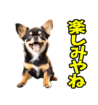 愛媛伊予弁☆わんこ（個別スタンプ：34）