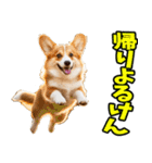 愛媛伊予弁☆わんこ（個別スタンプ：37）