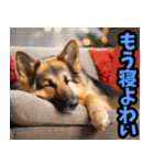 愛媛伊予弁☆わんこ（個別スタンプ：40）