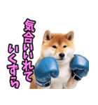 山梨甲州弁☆柴犬（個別スタンプ：18）