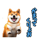 山梨甲州弁☆柴犬（個別スタンプ：28）